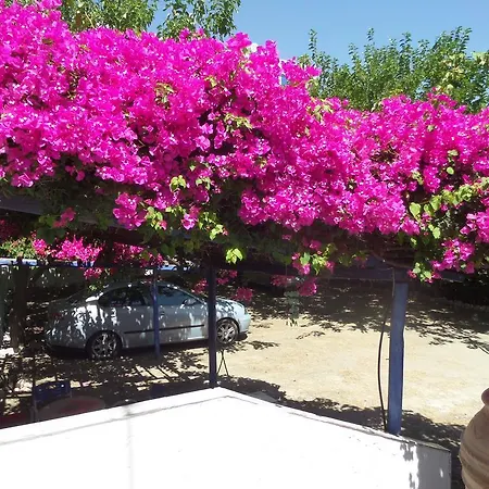 Junior Apartamento Skyros