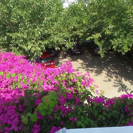 Apartamento Junior *