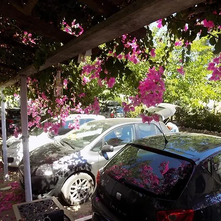 Apartment Junior Skyros